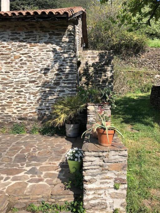 Maison Rurale Au Coeur Des Cevennes Ardechoises Dompnac Exterior photo